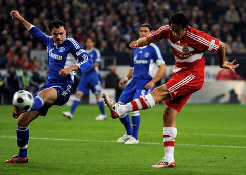 他的回归对 他的回归对